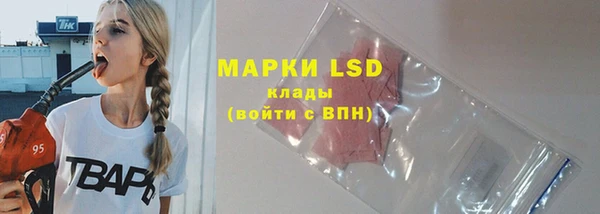 стаф Волосово