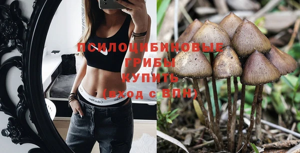 PSILOCYBIN Волоколамск