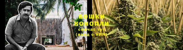 PSILOCYBIN Волоколамск