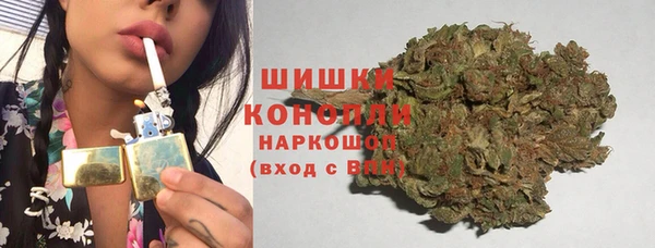 стаф Волосово